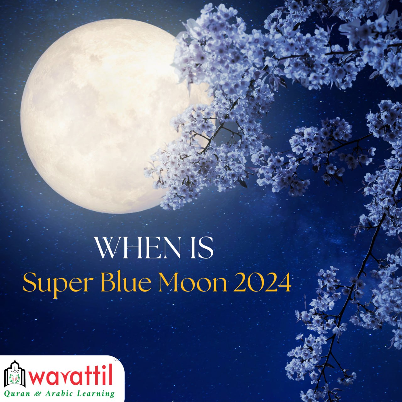 When is the super blue moon in 2024?!
