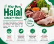What Does Halal Actually Mean