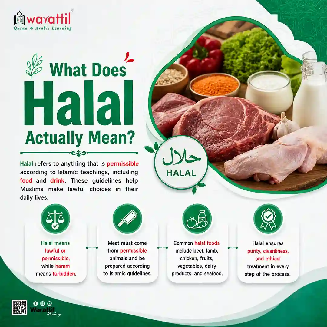 What Does Halal Actually Mean