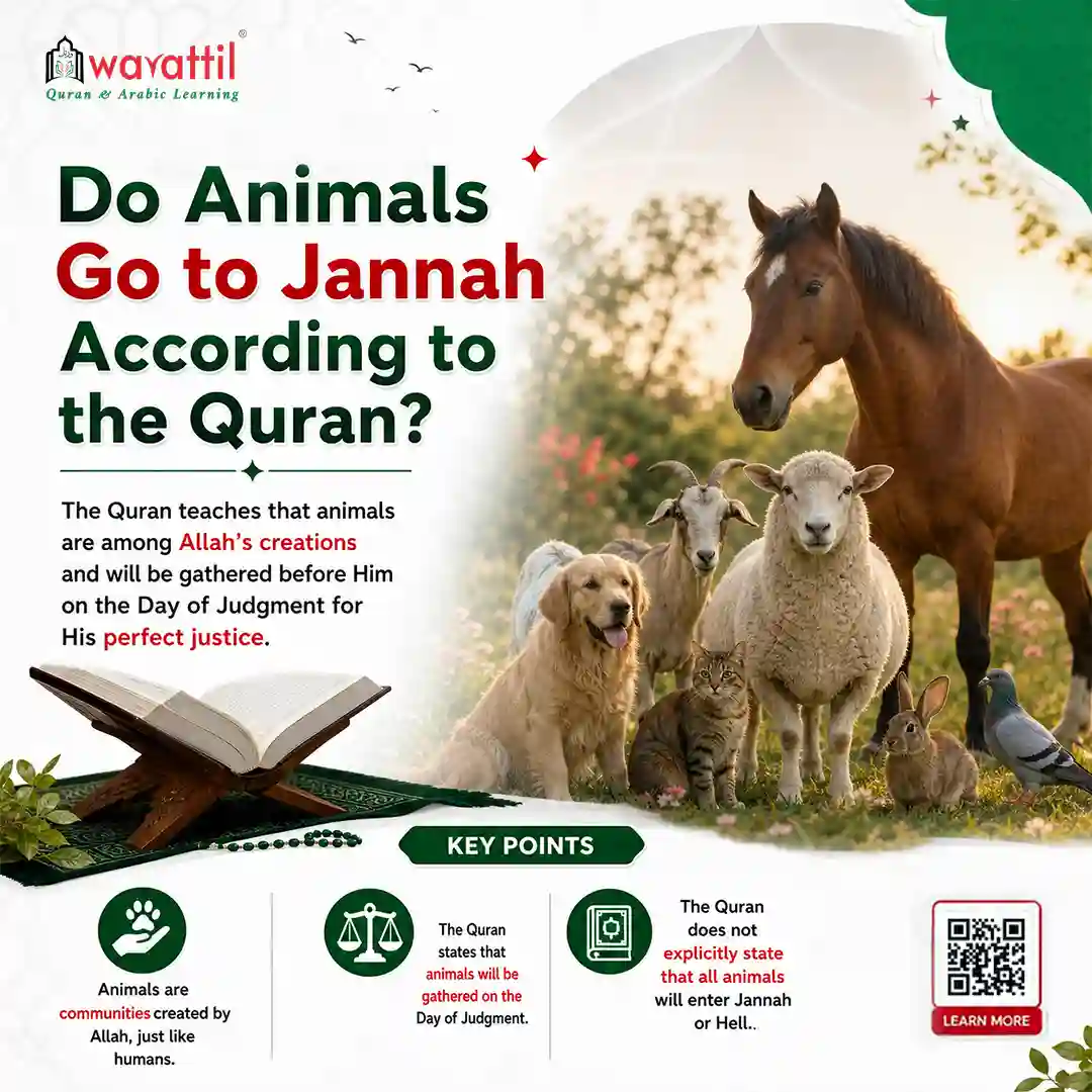 Do Animals Go to Jannah